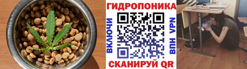 Cannafood конопля  Купить закладки  Тайшет 