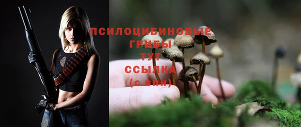 Альфа ПВП Аркадак