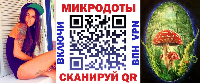 Галлюциногенные грибы Psilocybe  Купить  Тайшет 